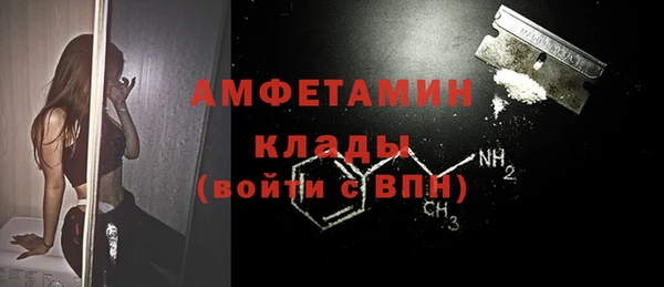 молекула духа Зуевка