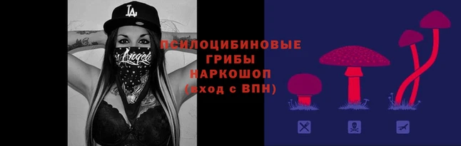 соль курить ск Нея