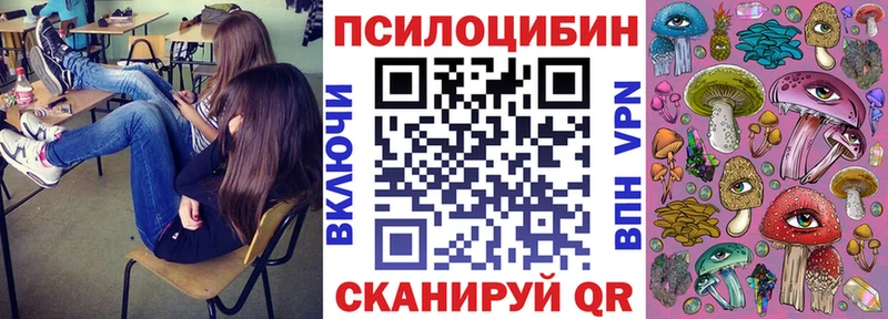 как найти   Кизел  Псилоцибиновые грибы прущие грибы 