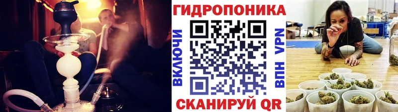 OMG зеркало  Кизел  Шишки марихуана тримм 